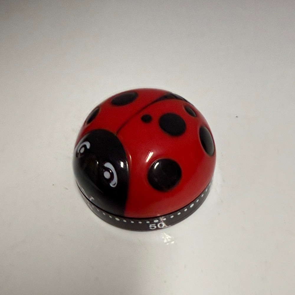 Source Unknown Red Ladybug Kitchen Timer